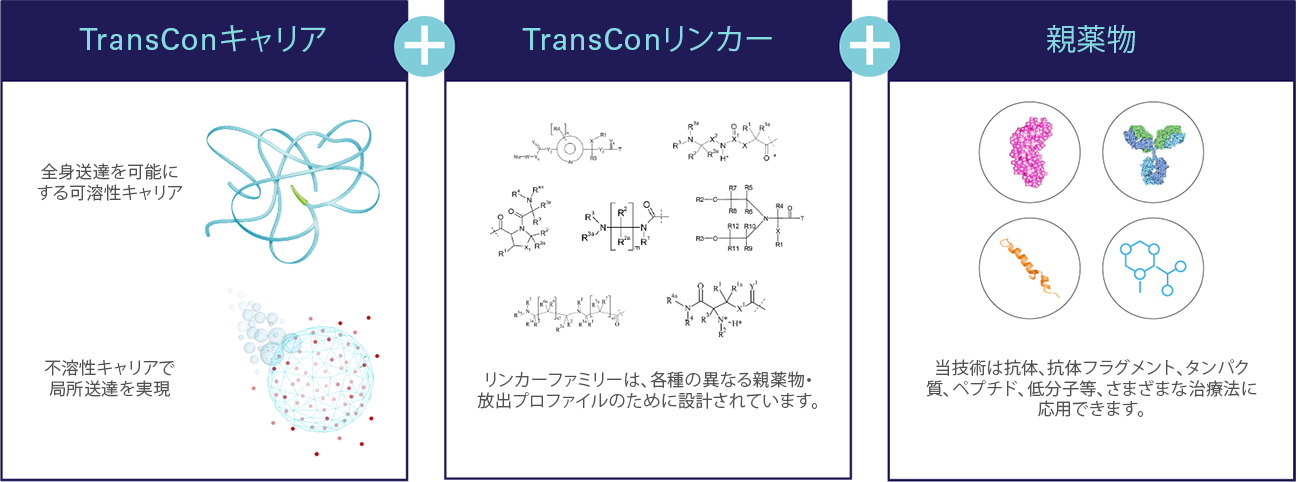 Technology_Transient_Conjugation_Graphic_jp