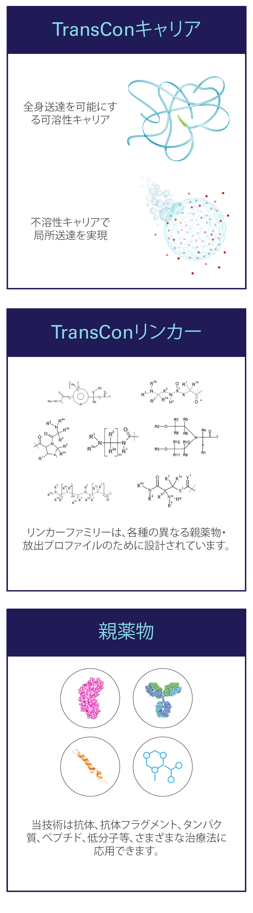 outlined_Technology_Transient_Conjugation_Graphic-2_jp