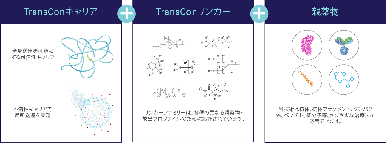 Technology_Transient_Conjugation_Graphic_jp