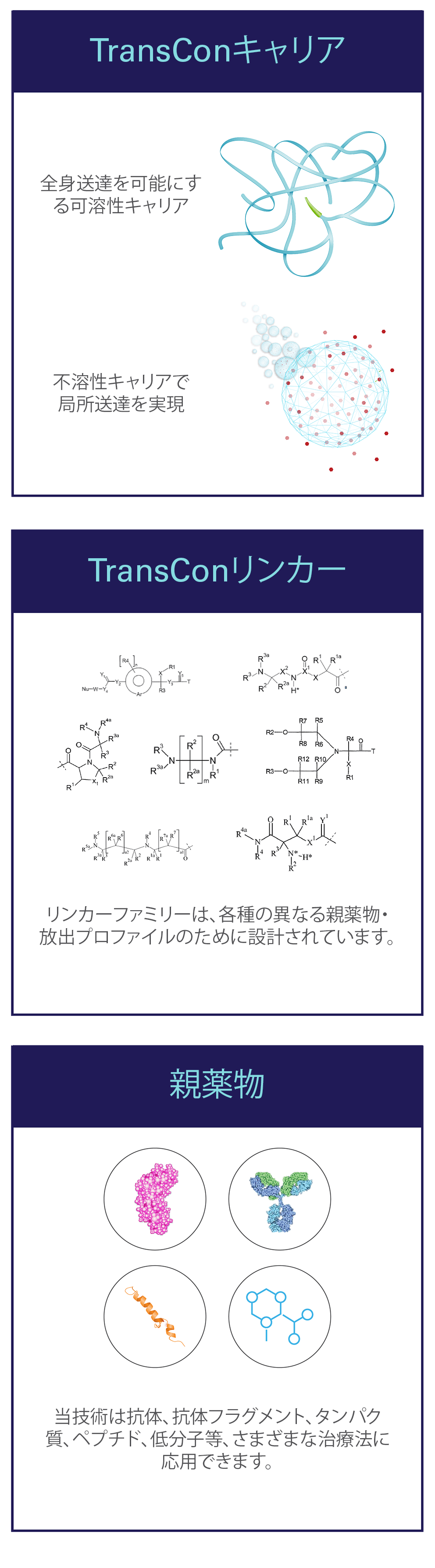 outlined_Technology_Transient_Conjugation_Graphic-2_jp